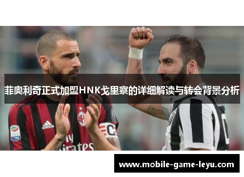 菲奥利奇正式加盟HNK戈里察的详细解读与转会背景分析 菲奥利奇正式加盟HNK戈里察的详细解读与转会背景分析