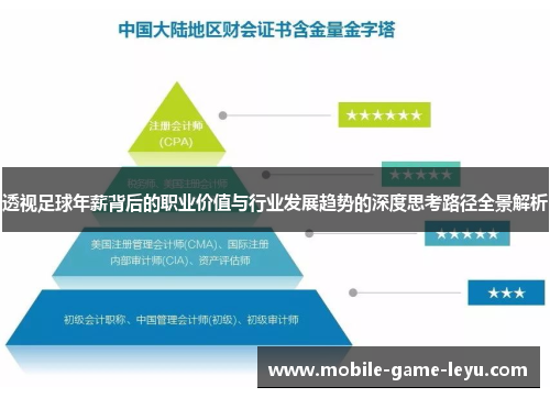 透视足球年薪背后的职业价值与行业发展趋势的深度思考路径全景解析