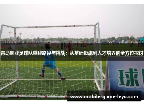 青岛职业足球队重建路径与挑战：从基础设施到人才培养的全方位探讨